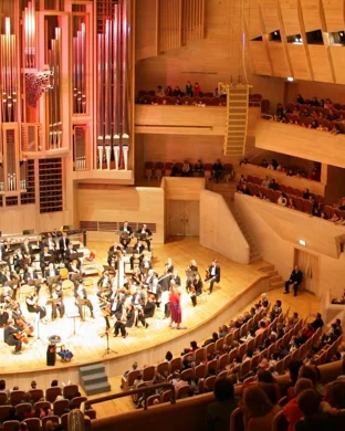 Greensboro Symphony Orchestra: Harry Potter and the Order of the Phoenix