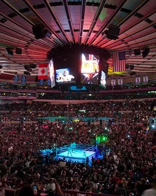 All Elite Wrestling